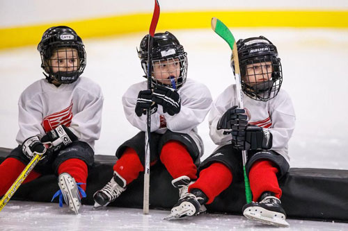Youth Hockey